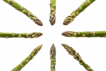 Image showing Eight Asparagus Spears Pointing at the Middle