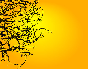 Image showing Sunset twigs