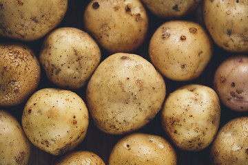 Image showing Fresh potato tubers