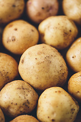 Image showing Fresh potato tubers