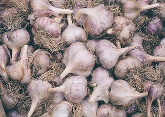 Image showing Heads of garlic