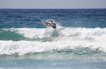 Image showing Surfing