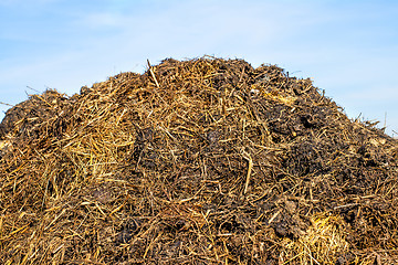 Image showing dung hill