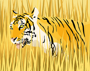 Image showing Tiger