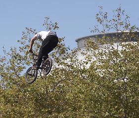 Image showing BMX Rider