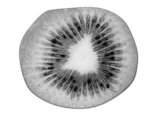 Image showing slices of kiwi