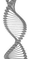 Image showing DNA structure model 