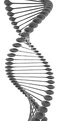 Image showing DNA structure model 