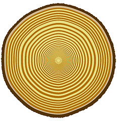 Image showing Tree rings