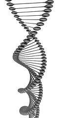 Image showing DNA structure model 