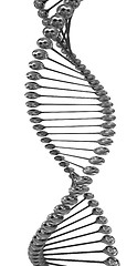 Image showing DNA structure model 