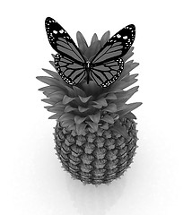 Image showing Red butterflys on a pineapple