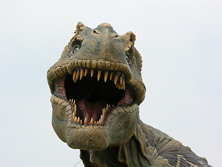 Image showing Dinosaur