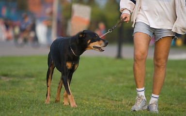 Image showing Dog and master