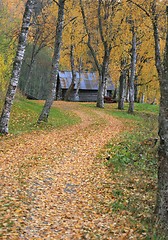 Image showing Autumn road