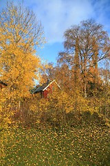 Image showing Red house in autumn