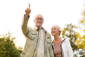 Image showing senior couple in park