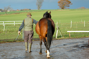 Image showing Man and horse