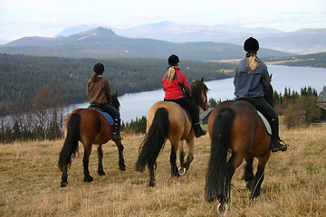 Image showing Three riders