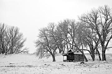 Image showing winter shelter