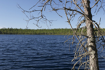 Image showing Lakeside view