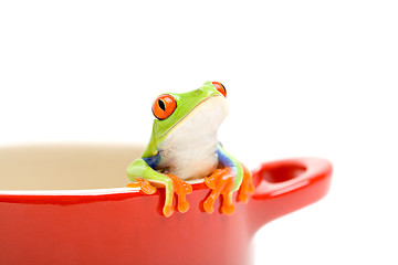 Image showing frog looking out of pot