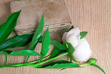 Image showing Still life: ancient book and white flower of a peony.