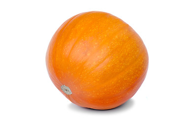 Image showing Large ripe pumpkin on a white background.