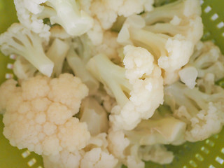 Image showing Cauliflower vegetable