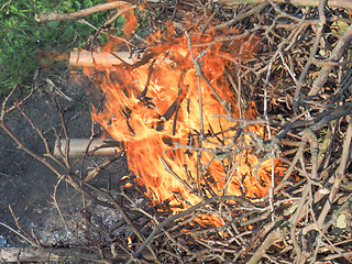 Image showing Burning fire