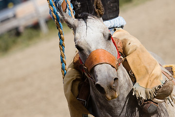 Image showing rodeo horse barrel racing