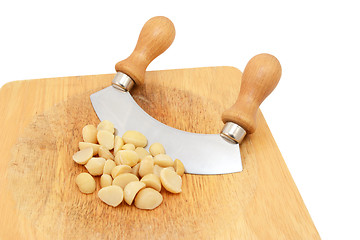 Image showing Macadamia nuts with a rocking knife 
