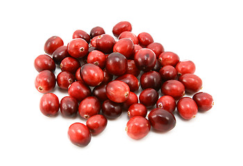 Image showing Whole fresh cranberries