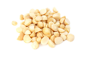 Image showing Macadamia nuts