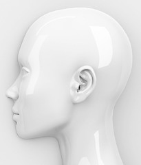Image showing the head