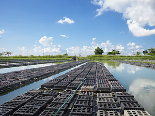 Image showing Aquaculture in Myanmar