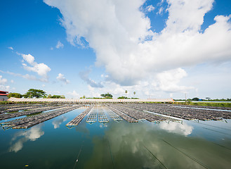 Image showing Aquaculture in Myanmar