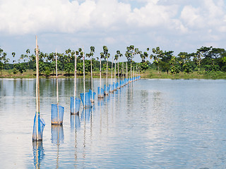 Image showing Aquaculture in Myanmar