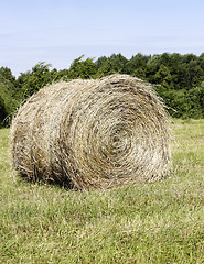 Image showing Hay roll