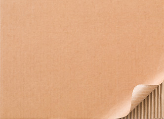 Image showing Corrugated cardboard with curled corner