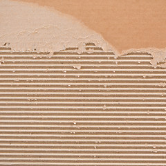 Image showing Torn corrugated cardboard.