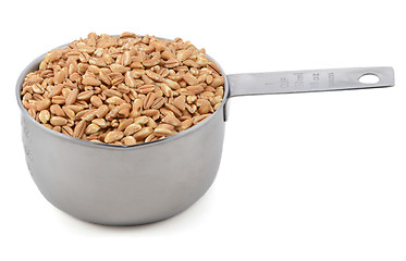 Image showing Farro dicocco in a cup measure