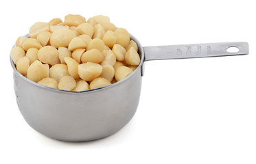 Image showing Macadamia nuts in a cup measure