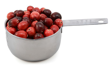 Image showing Whole fresh cranberries in a cup measure