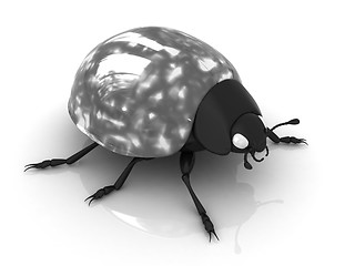 Image showing Ladybird 