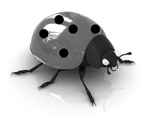 Image showing Ladybird 