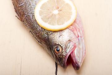 Image showing fresh whole raw fish