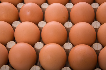 Image showing Eggs in a box