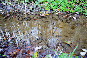 Image showing Pond