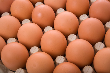 Image showing Eggs in a box